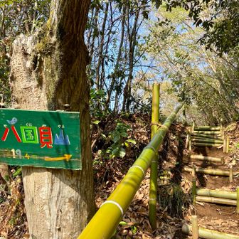 下り口にも可愛い看板と竹階段