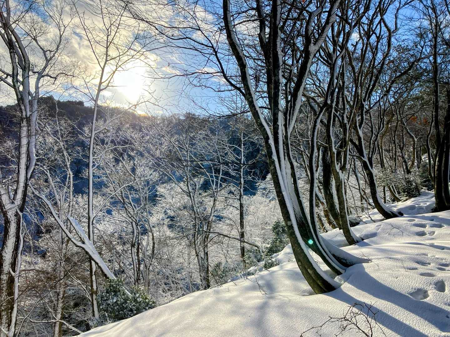 朝日が当たり