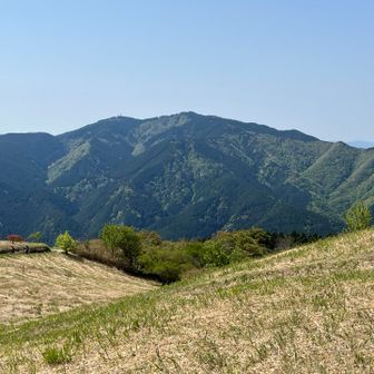 コウジユーザー