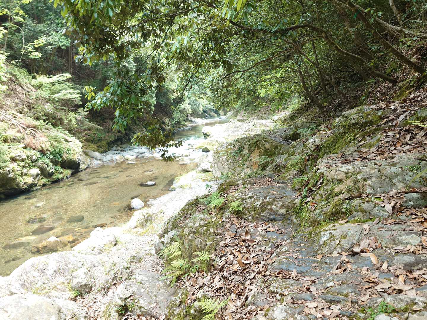 河原は結構岩だらけで歩きにくいけど、楽しい。