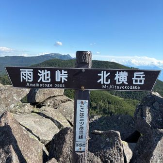 Ⅲ峰🙌