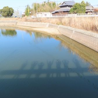 UMAYAMAってやってるけど、うまく撮れず😣