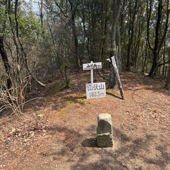 山伏山到着🤗(188.5m)