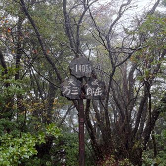 岩もハシゴもこんなゴツゴツしてたっけ
体が足捌きを忘れているので雨のなか慎重を期して