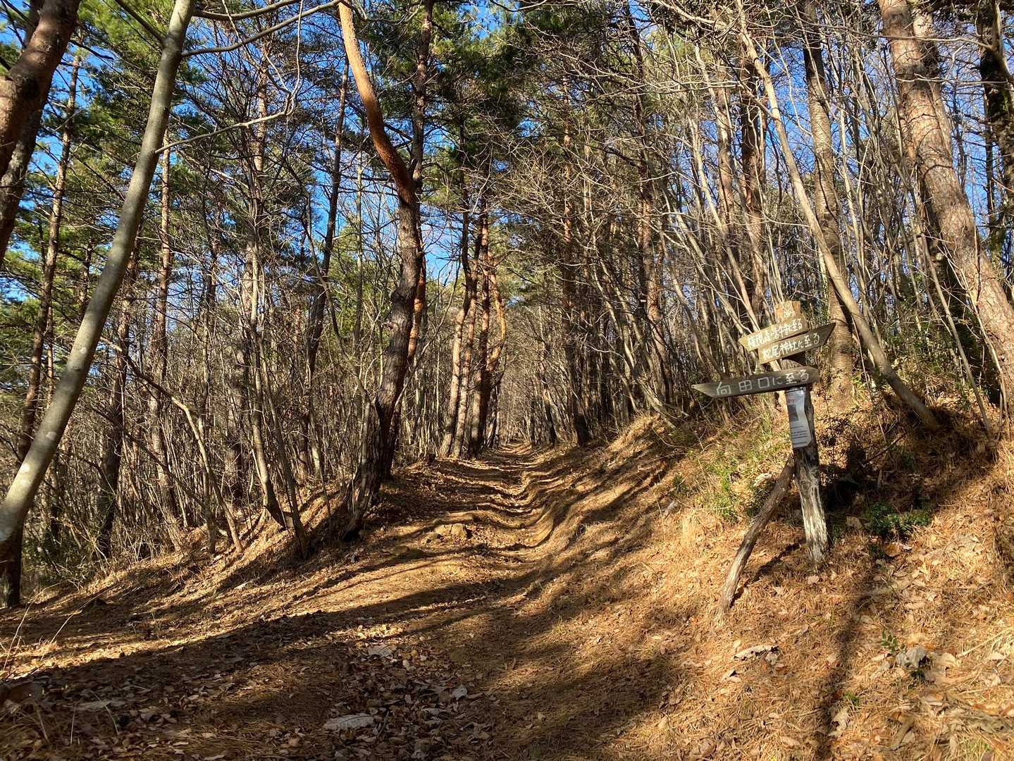 帰ろと思ったけど北峰まで足を伸ばす🐾