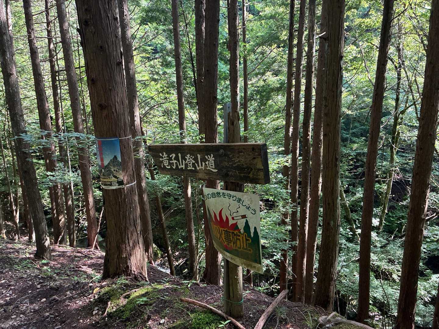 登山道へ入ります