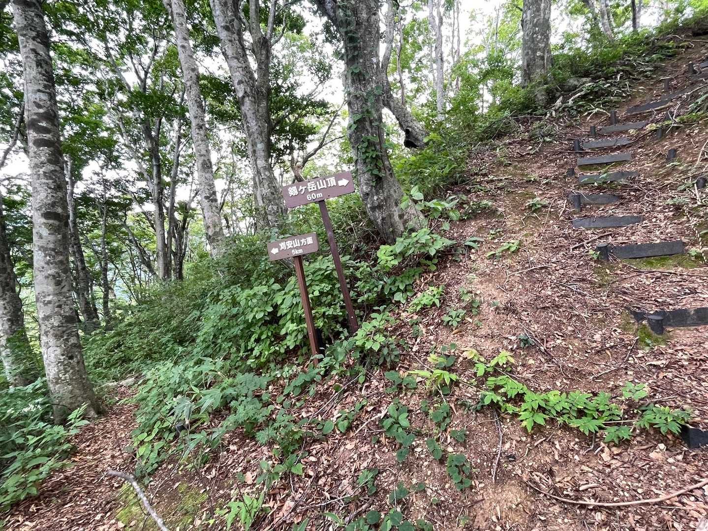 刈安山への分岐
パッと見 綺麗ですがさて🤔