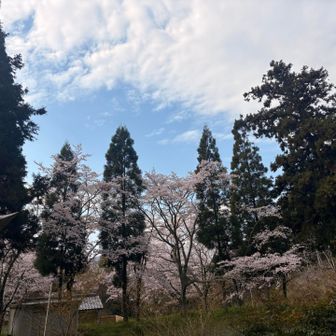 下山途中の景色🌸🩵