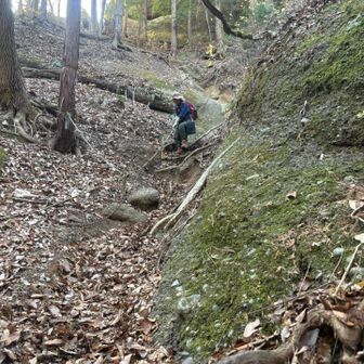 ここのロープ場、直滑降の滑り台みたいで鎖場より怖い