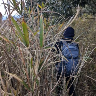 見失わないように