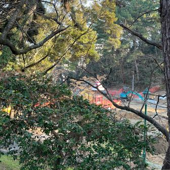 可愛い遊具広場も工事中