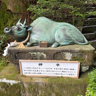 牛🐃