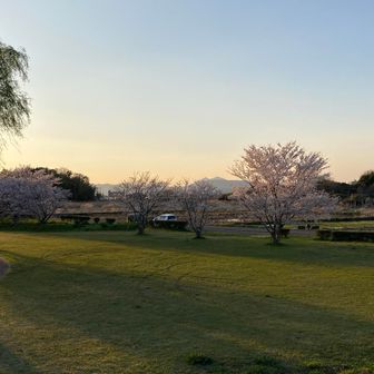 桜と筑波山