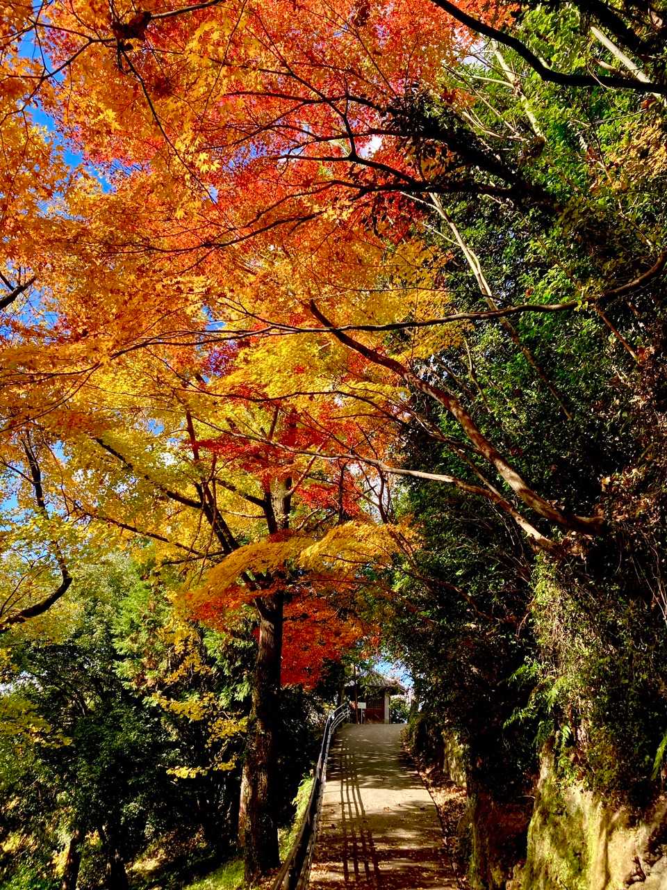 碇山の写真