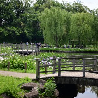 四季の里公園。
公園内にピークあるのかな？と思っていたら少し離れた所でした。
しかし中々良い所です。
