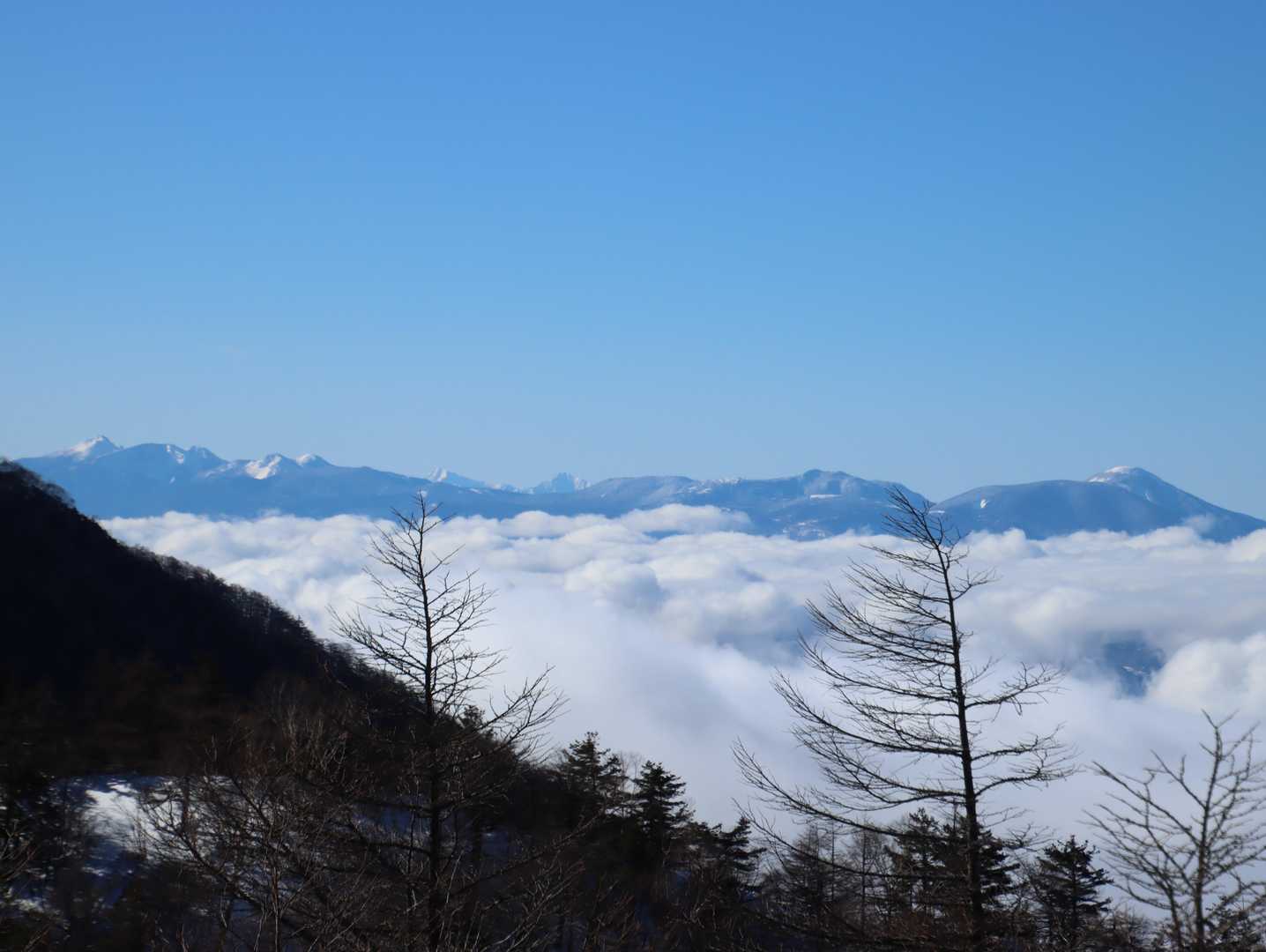 赤岳･横岳･硫黄岳･阿弥陀岳･天狗岳･北岳･甲斐駒ヶ岳･茶臼山･縞枯山･仙丈ヶ岳･北横岳･双子山･蓼科山方面の景色[うぐいす展望台～水ノ塔山山頂]
八ヶ岳と真ん中奥は南アルプス。