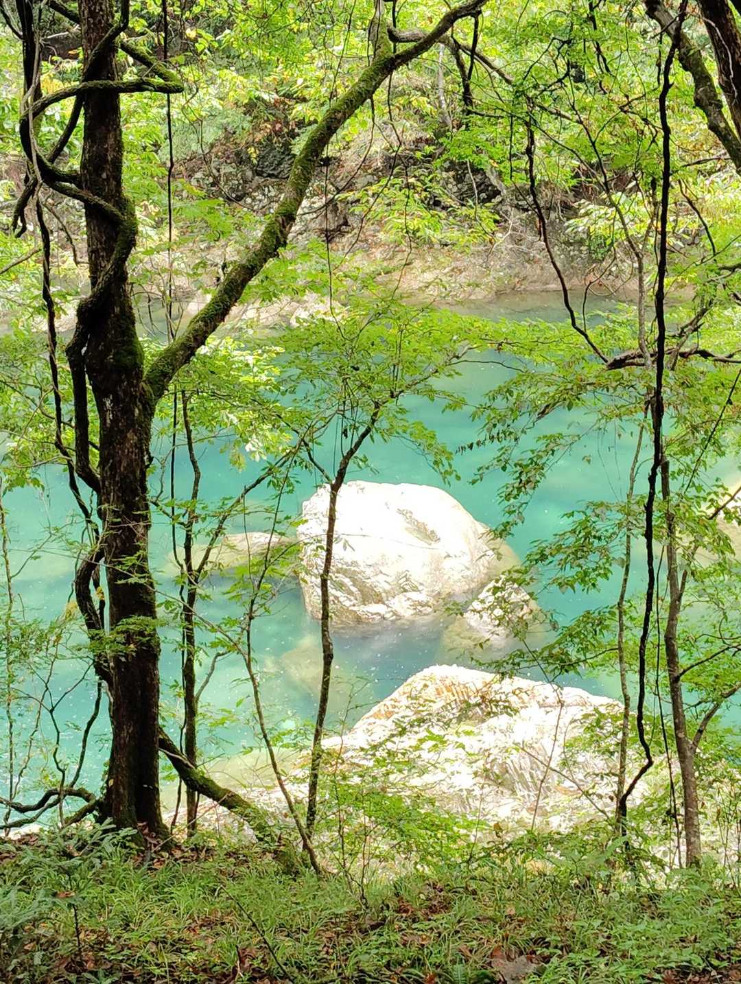 川の水がエメラルドグリーン