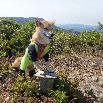 井岸山
ももちゃん三角点タッチ