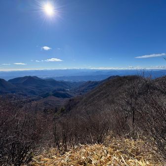 掃部ヶ岳山頂も絶景です📸