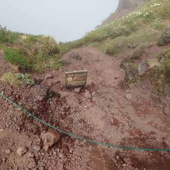 南峰には行けません