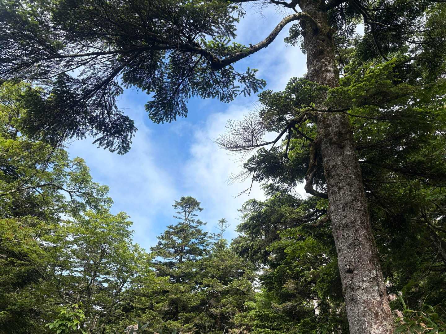 時々青空✨
