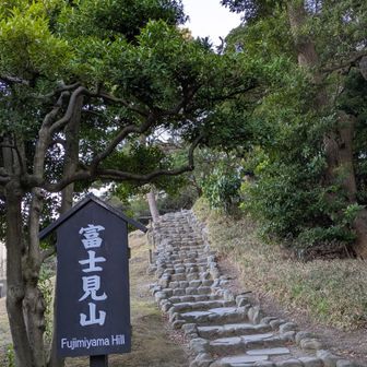 見えたんでしょうね🗻