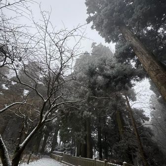 もっと雪景色みたいね