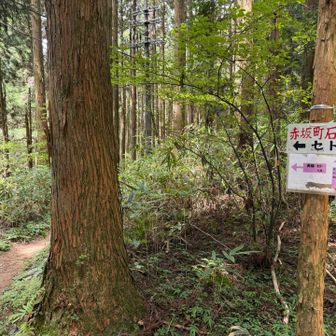 こちらへ戻り　セト方面へ