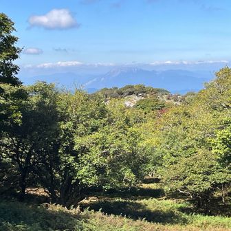 奥に伊吹山