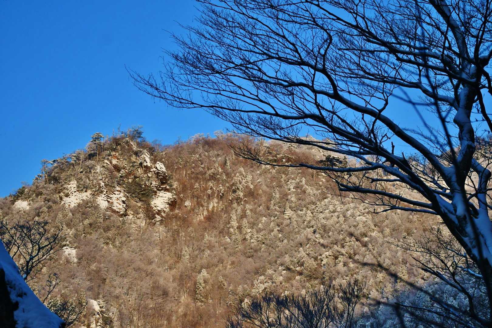 黒岳から三尖への急峻な降り場。