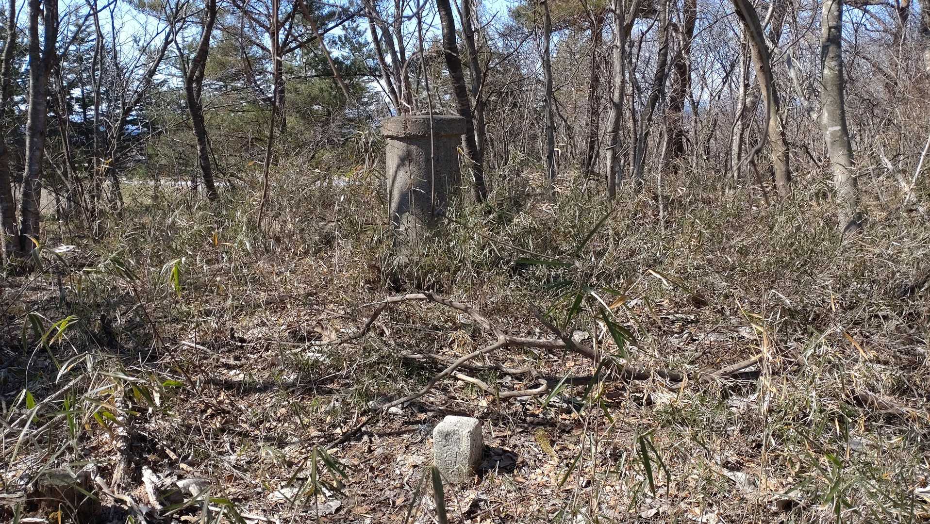 山頂表示板は無いのでここが山頂とします。