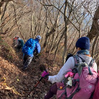 今日は下山が多い山行