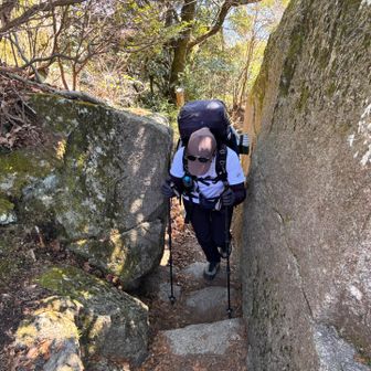 あっ！🤭通れるのか？
ギリギリガール😆