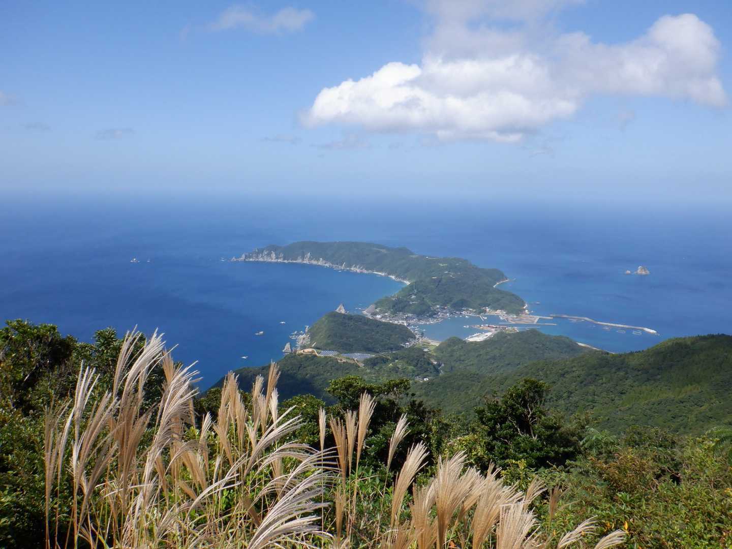 野間岬