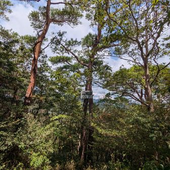 荒地山、登頂！