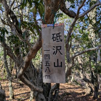 砥沢山山頂標識