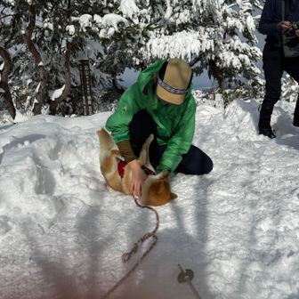 yukoちゃんたち来たよ！甘えるこまち。