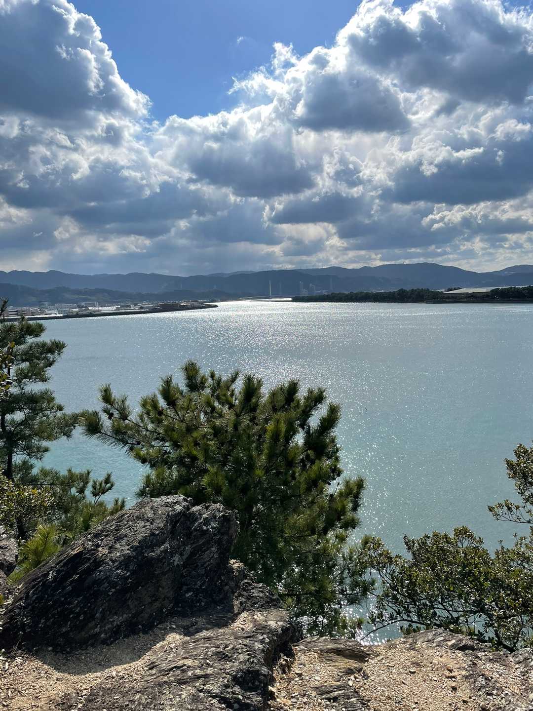 天気は良かったが
風が強かったので
寒かった