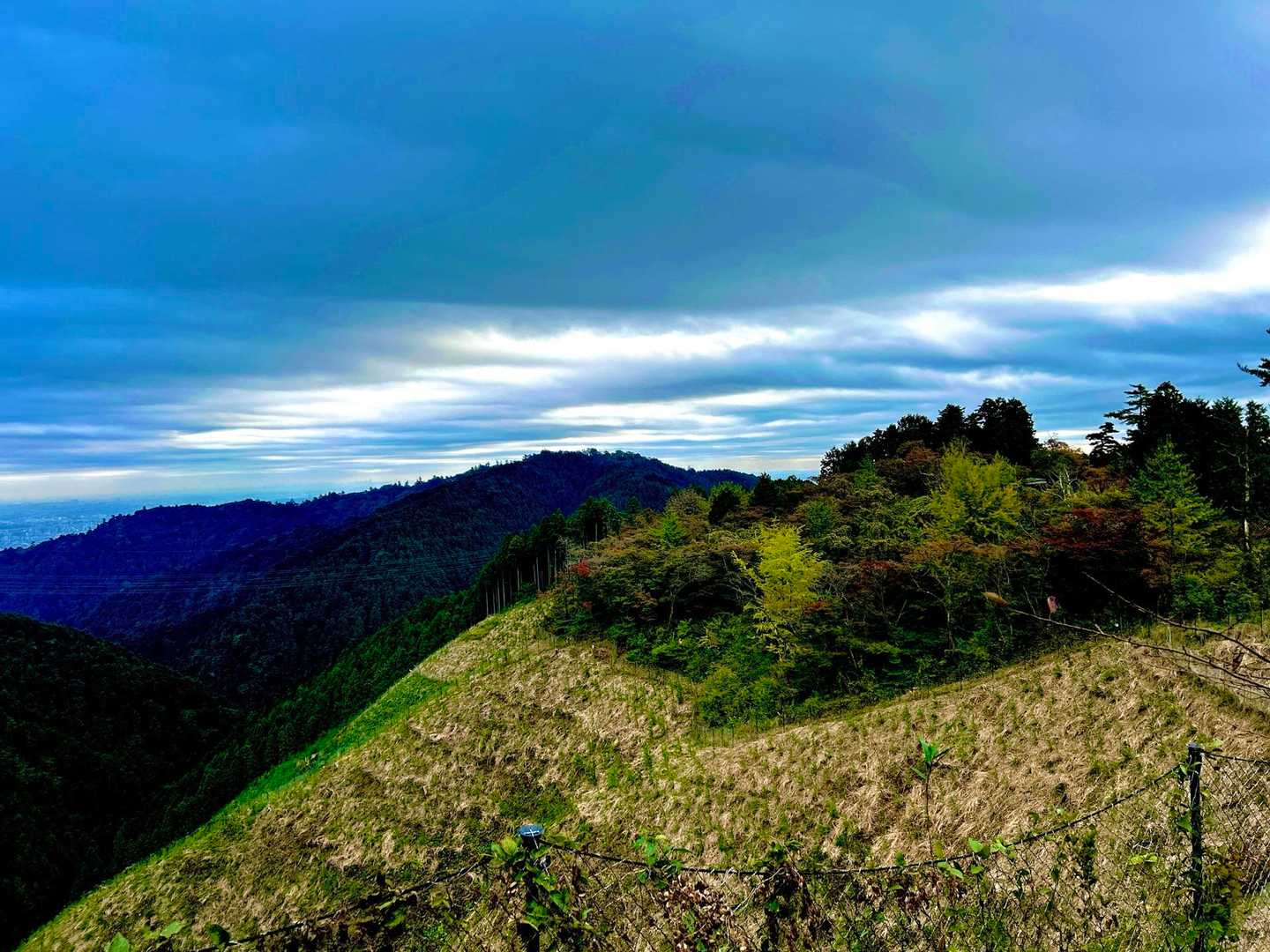 脇道に入ると見られる風景👌
正面が高尾山です😄