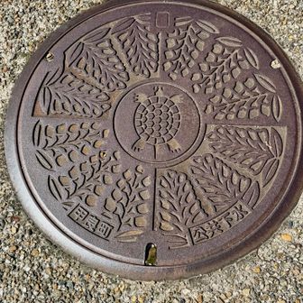 甲良町（こうらちょう）マンホール蓋

• 中央の亀（カメ）： 町名である「甲良（こうら）」の響きにちなんで、甲羅を持つカメがユーモラスに描かれています。
• 周囲の花： 亀を囲むように配置されているのは、甲良町の町の花に指定されている「フジ（藤）」の房です。