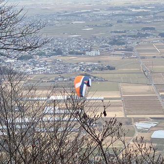 あーパラグライダー！