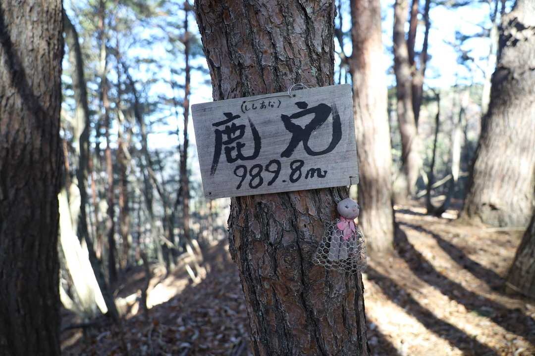 鹿穴の山頂標識 標高 989.8m
#てるてる坊主