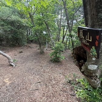 広いですが、眺望は🍆