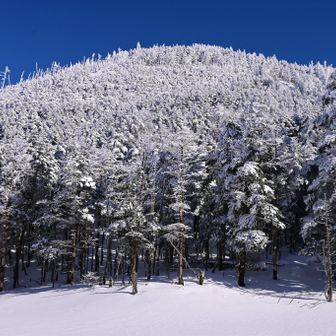 雨池山