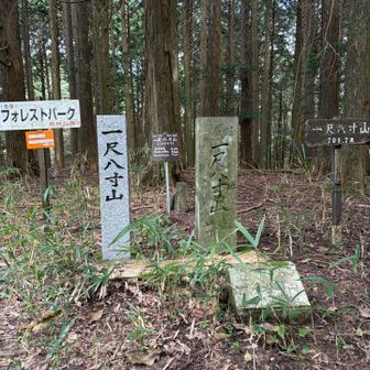 一尺八寸山と書いて『みおう山』
山頂標識多すぎ問題。
いやいやいやいやおかしい🏔️読めんわ！