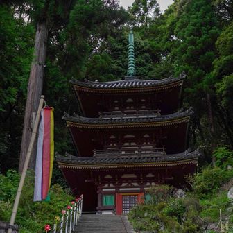松尾寺