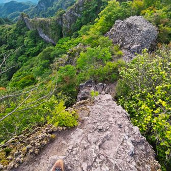 ゆっくりしてたら山頂で1時間以上休憩してた。
下山しよう。