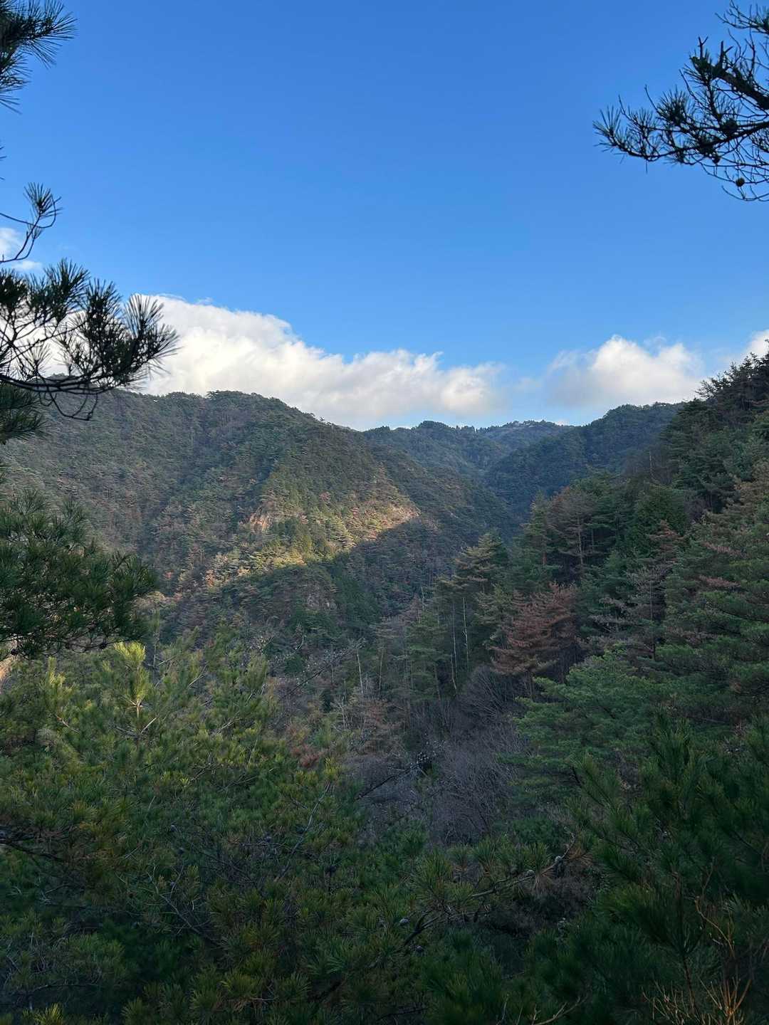 大池駅-水晶山-六甲ケーブル下バス停 縦走コースの写真