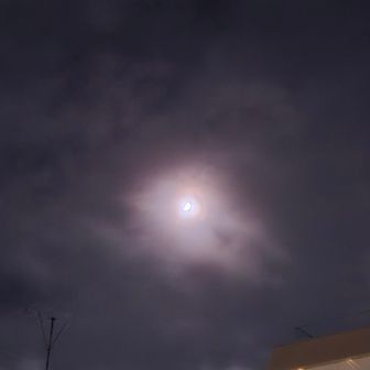 おぎ