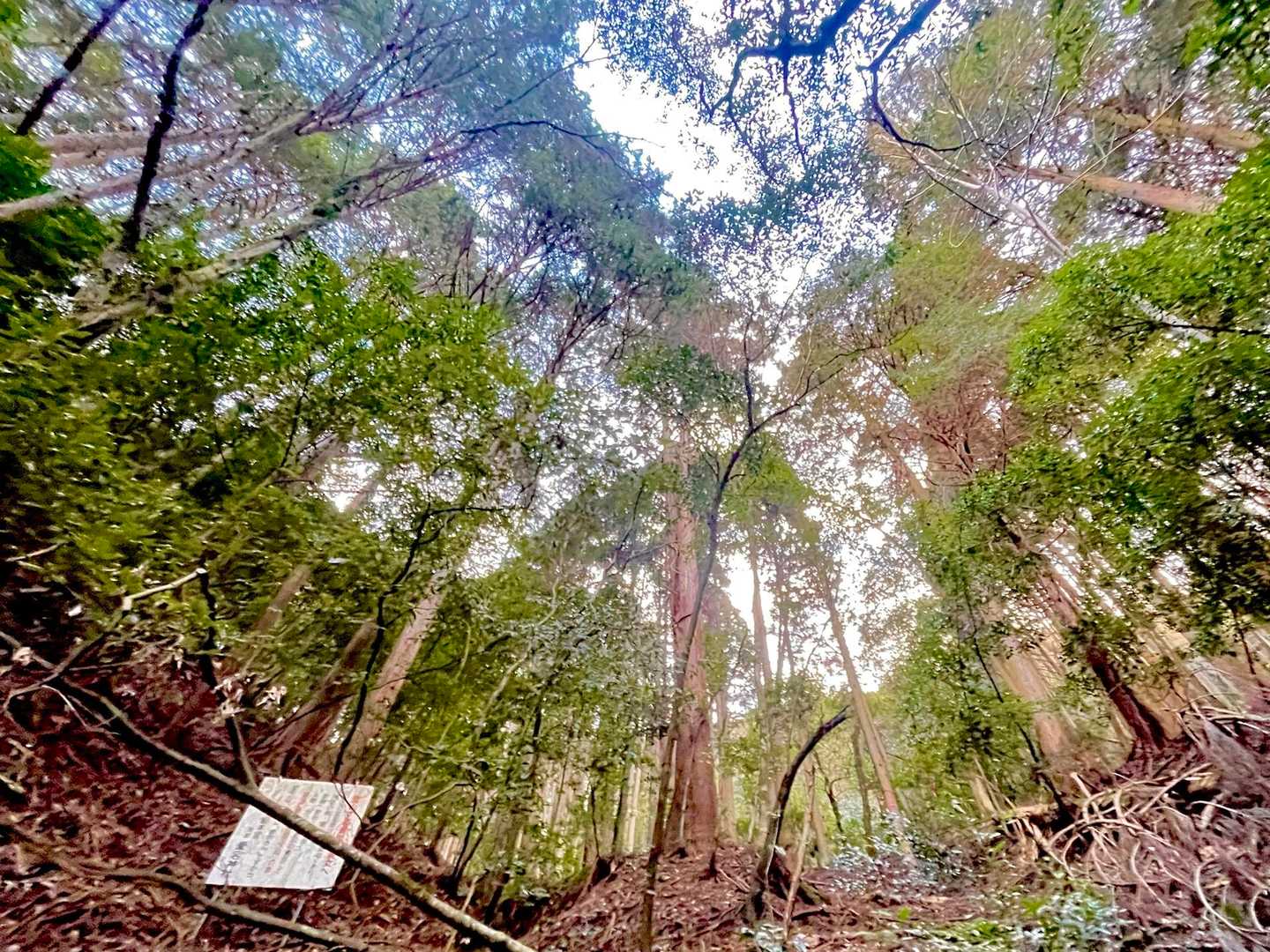 朝の気持ちいい空気の中、出発！